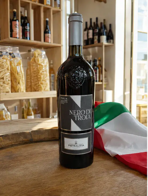 Pietralitta Nero di Troia Puglia IGT 2023, plan large de face